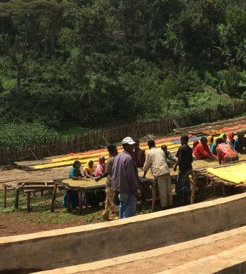 guracho drying beds