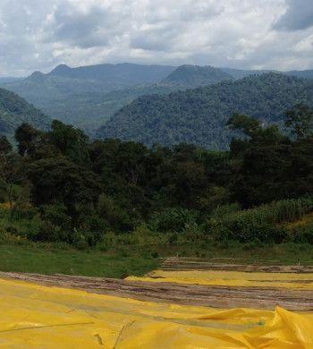 guracho washing station